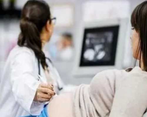 6bc的囊胚还有没有移植必要？~供卵产子费用