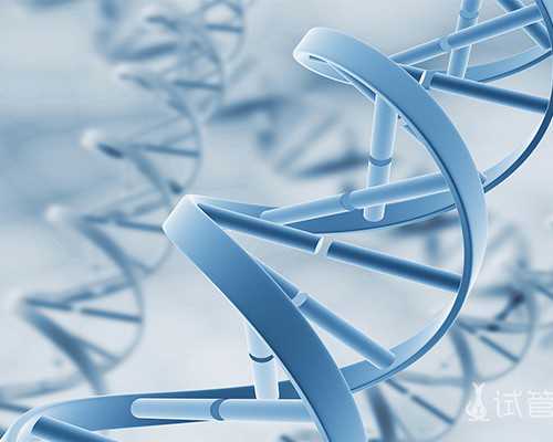 乌克兰做代孕的公司,乌克兰供卵试管婴儿价格，乌克兰借卵试管多少钱