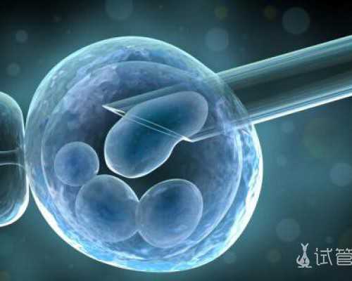 海外供卵试管助孕：费用、流程与选择指南