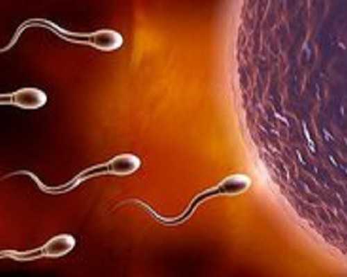 吃什么可以有效缓解月经疼痛？~供卵多少钱