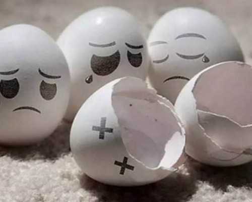 乌克兰助孕指南：供卵试管费用、流程与权威机构深度解析