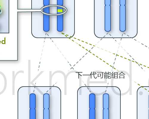 乌克兰供卵机构在哪,乌克兰助孕机构排名？单身女性去乌克兰做试管生双胞胎