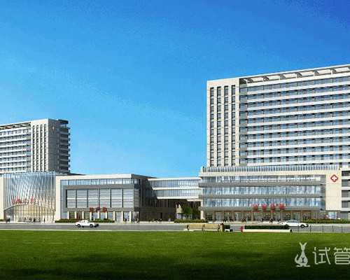 私立代孕医院与三代试管助孕：海外合法辅助生殖新选择