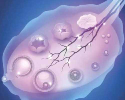 卵巢性不孕症有哪些治疗方法？~包成功代生