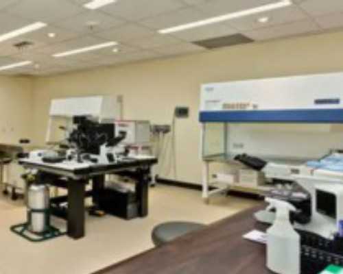 供卵试管助孕：成功率指南、流程详解与高龄生育方案