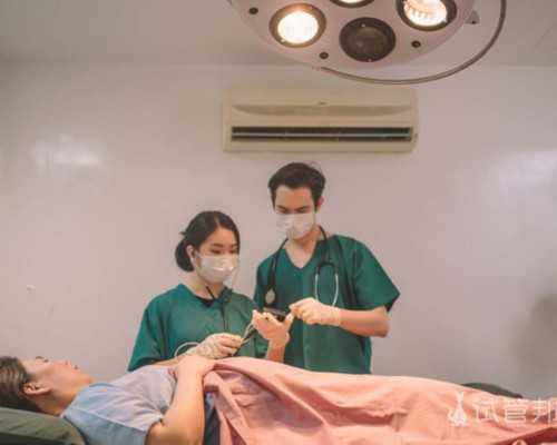 乌克兰供卵试管助孕：成功率、技术与代怀机构选择攻略