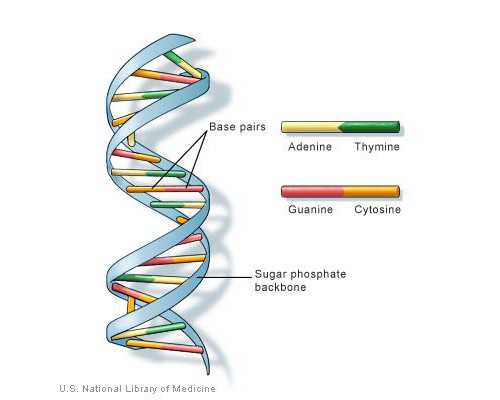 辅助生殖：供卵试管助孕全攻略与成功秘诀