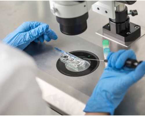 怎么推算人工周期移植日期？人工周期一般多久移植？~专业代怀机构