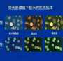 辅助生殖新选择：供卵试管助孕的关键信息