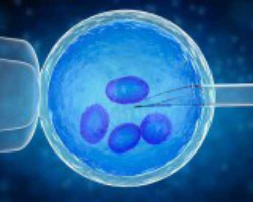 乌克兰代生、代怀助孕攻略：供卵试管费用与机构选择深度解析