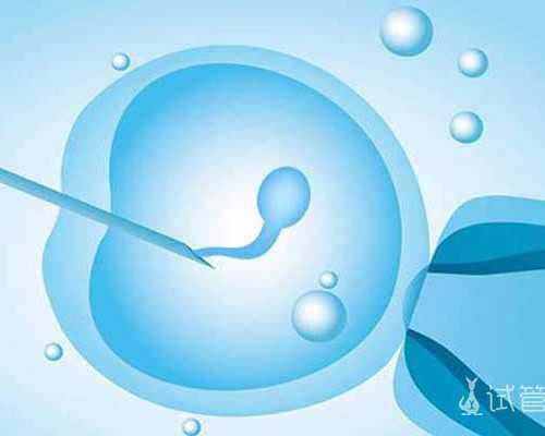 乌克兰辅助生殖全攻略：代孕供卵技术、费用与代怀服务优势