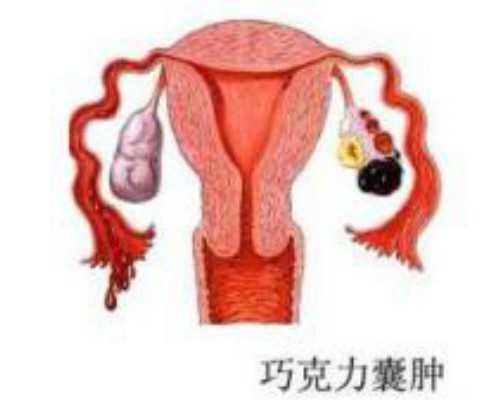 怀孕期间如何吃黄瓜~借卵试管机构