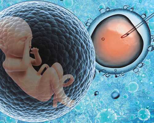 同型半胱氨酸高卵泡萎缩~专业助孕公司