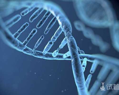 子宫内液性暗区是什么~试管代怀代生