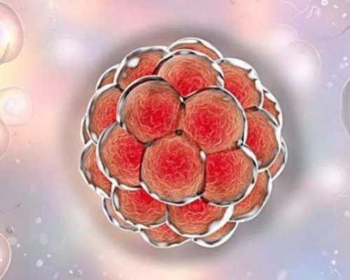 怀两个孩子唐筛都是临界风险唐氏综合征临界风险~试管选性别