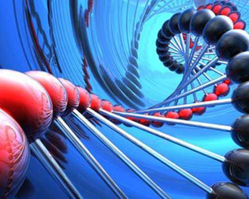 供卵试管婴儿：深度解析辅助生殖技术与生育风险