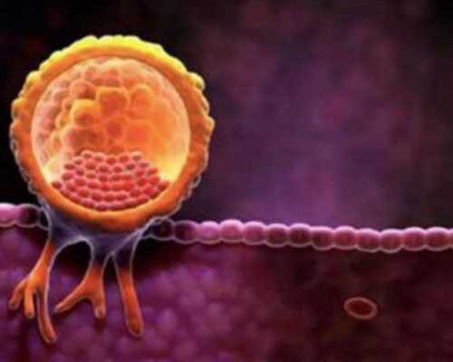 促排第七天雌二醇？促排第七天雌二醇多少比较好？