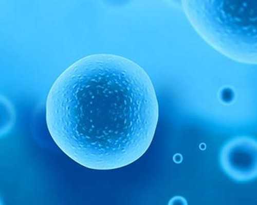 备孕能不能拍胸片备孕不能拍胸片吗~代生微信