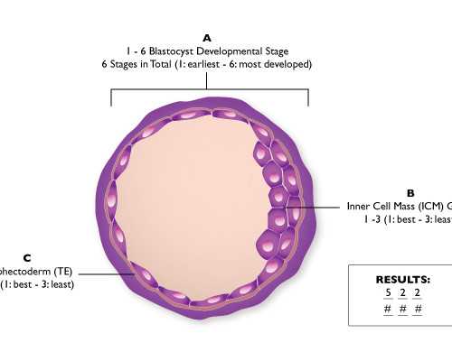 促排卵的话每个月都能促吗，促排针可以每个月打吗~供卵代生机构