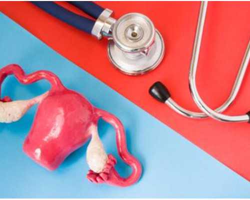 辅助生殖成功关键：胚胎移植策略与生育服务解析