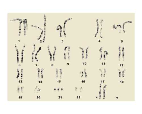 35岁卵巢早衰还能怀孕吗？2026赠你35岁卵巢早衰试管成功案例