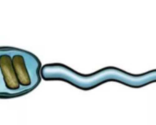 乌克兰辅助生殖：全面解析代孕供卵与代生费用、优势代怀流程及热门代孕机构