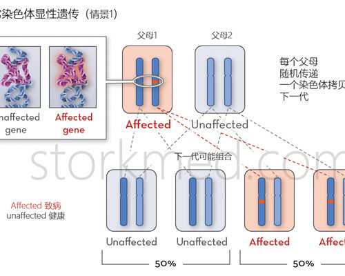 乌克兰辅助生殖：专业代怀、供卵试管费用与成功率深度解析