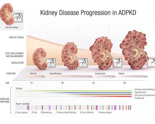 大家都有做过胎梦吗？胎梦到底准不准啊？？？ 高端代孕机构