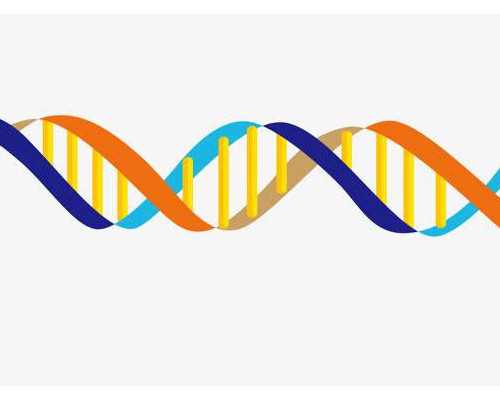 乌克兰辅助生殖指南：供卵、代怀机构与三代试管深度解析