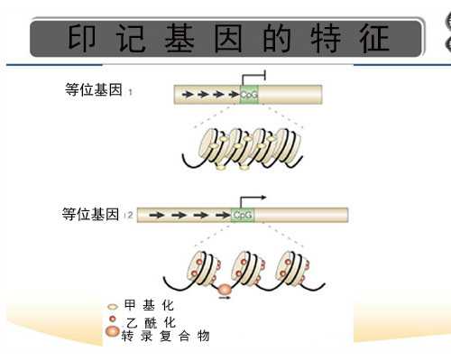 辅助生殖：揭秘试管助孕的真实历程与情感考验